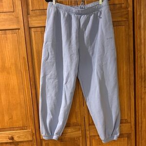 ARITZIA Dayflower Blue Mega Fit Cozy Fleece Sweatpants Joggers Size Large